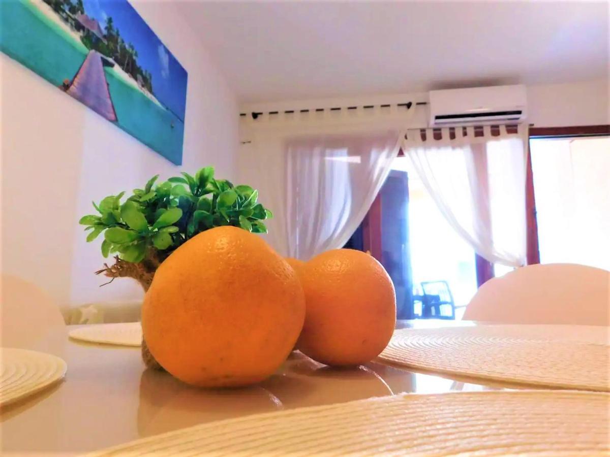 Tropical Playa Z Widokiem Na Morze, 400 M Do Plazy La Mata Beach Torrevieja Eksteriør billede