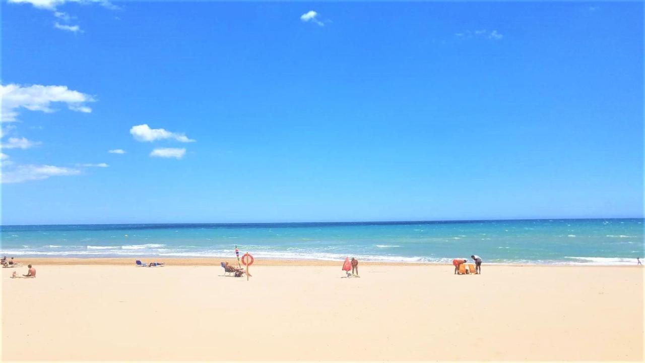 Tropical Playa Z Widokiem Na Morze, 400 M Do Plazy La Mata Beach Torrevieja Eksteriør billede